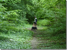 Steve biking in forest