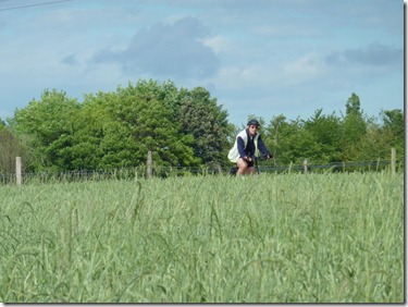 Steve passing green wheat fields