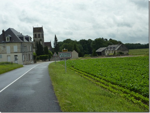 Village of St. Etienne among kale fields