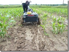 Steve wheels both bikes out of corn field