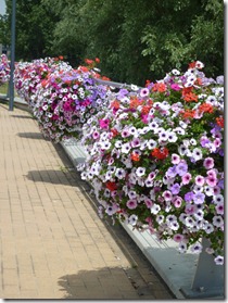 Huge flower pots along bike route