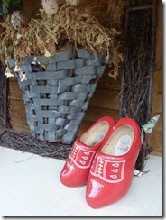 Wooden shoes