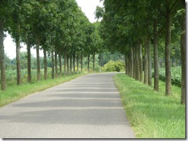 Quiet road also bike route