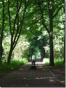 Serene bike trails 