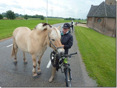 Walking the horse in the rain along the dyke