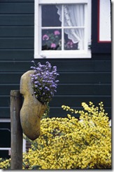 Wooden shoes as planter