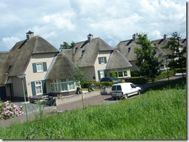 New construction with thatch roofs