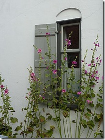 Window of house in Made