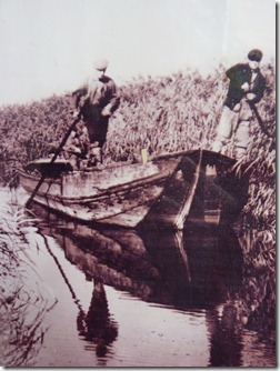 Years ago barge clearing willows for thatch