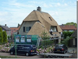 Thatch roof being built 