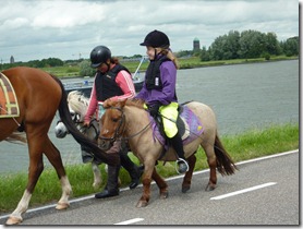 Miniture horses on bike trail