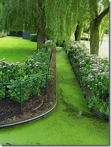 Small canals around houses